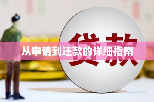 巴楚从申请到还款的详细指南
