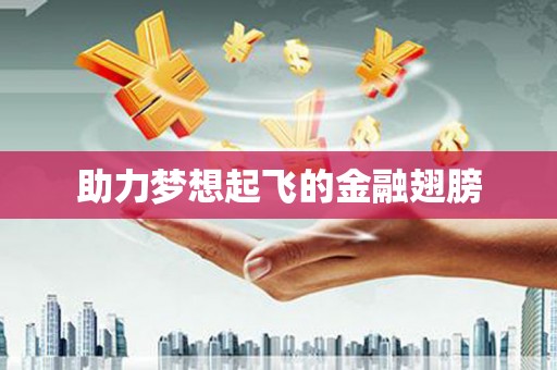 巴楚助力梦想起飞的金融翅膀