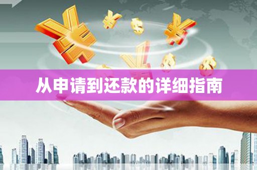 巴楚从申请到还款的详细指南