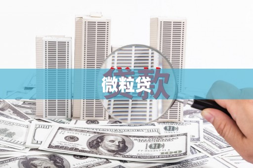 巴楚微粒贷