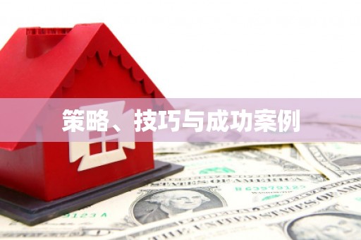 巴楚策略、技巧与成功案例