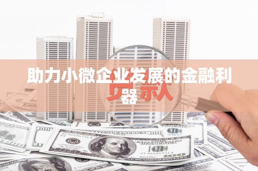 巴楚助力小微企业发展的金融利器