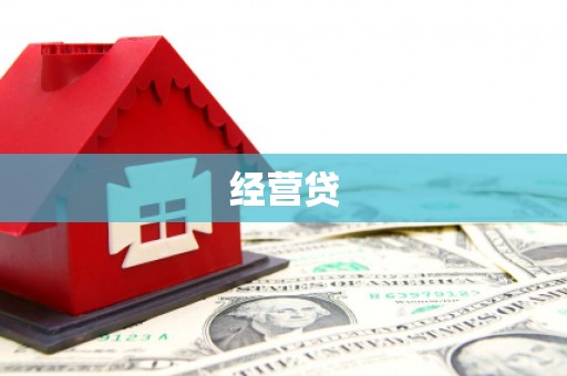 巴楚经营贷