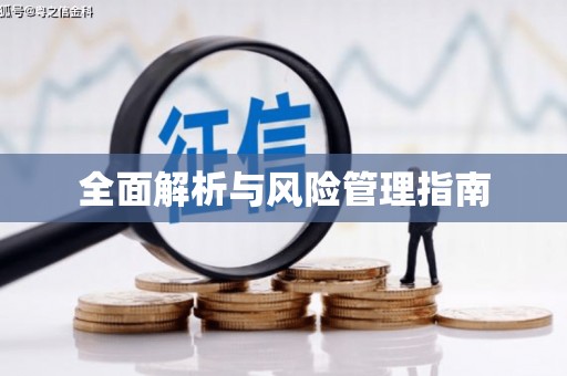 巴楚全面解析与风险管理指南