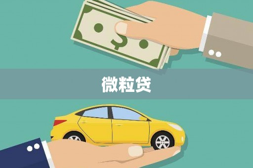 巴楚微粒贷