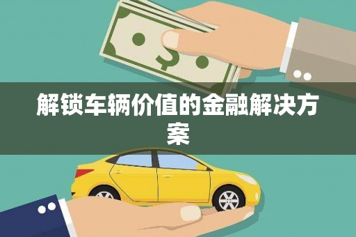 巴楚解锁车辆价值的金融解决方案