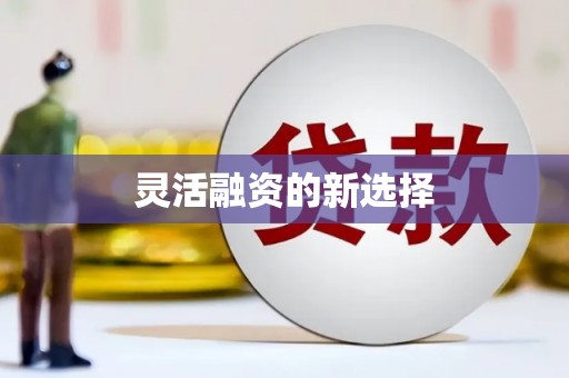 巴楚灵活融资的新选择