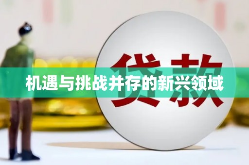 巴楚机遇与挑战并存的新兴领域