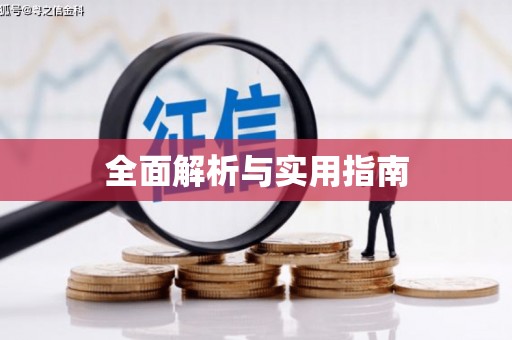 巴楚全面解析与实用指南
