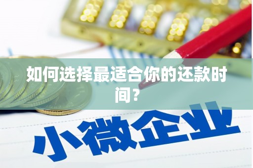 巴楚如何选择最适合你的还款时间？
