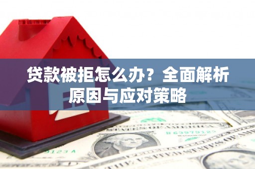 巴楚贷款被拒怎么办？全面解析原因与应对策略