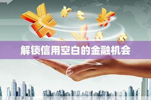 巴楚解锁信用空白的金融机会