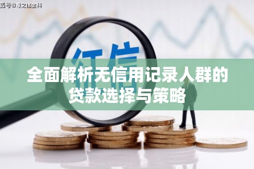 巴楚全面解析无信用记录人群的贷款选择与策略