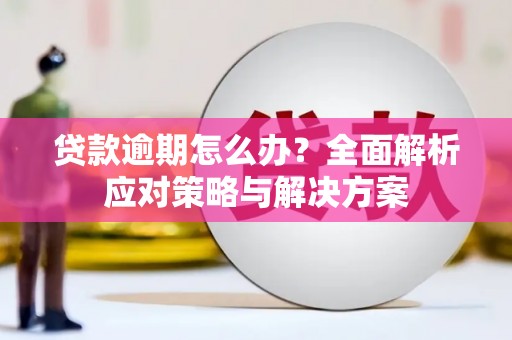 巴楚贷款逾期怎么办？全面解析应对策略与解决方案