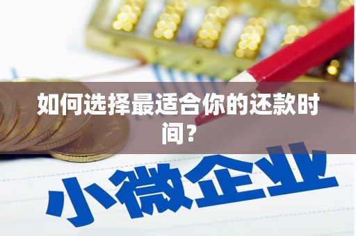 巴楚如何选择最适合你的还款时间？