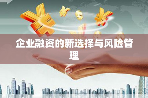 巴楚企业融资的新选择与风险管理