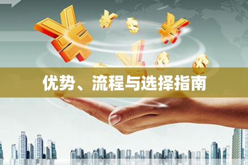 巴楚优势、流程与选择指南