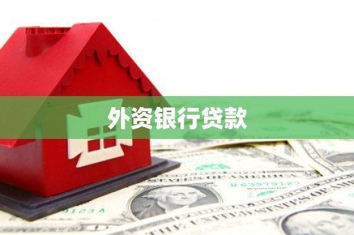 巴楚外资银行贷款