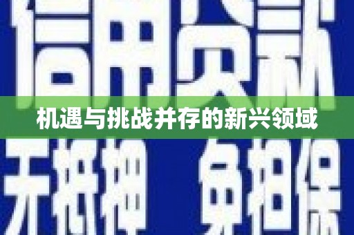 巴楚机遇与挑战并存的新兴领域