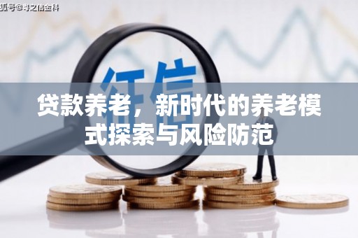 巴楚贷款养老，新时代的养老模式探索与风险防范