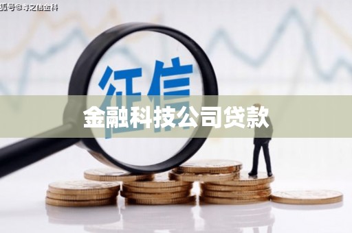 巴楚金融科技公司贷款