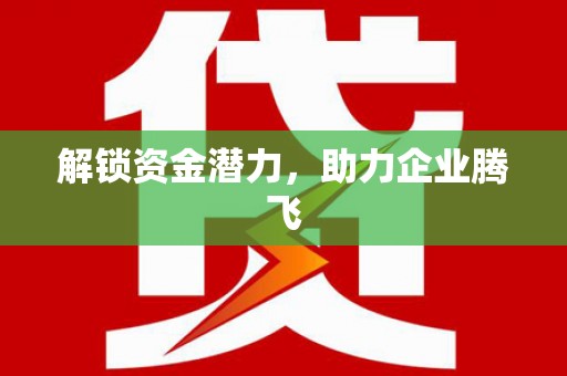 巴楚解锁资金潜力，助力企业腾飞