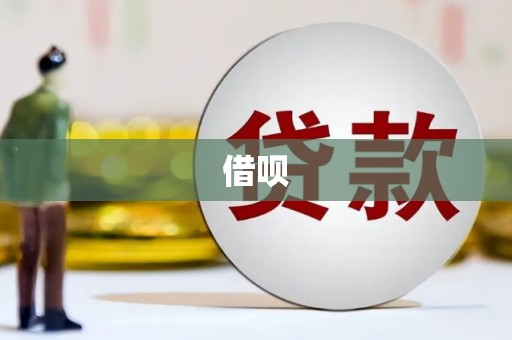 巴楚借呗