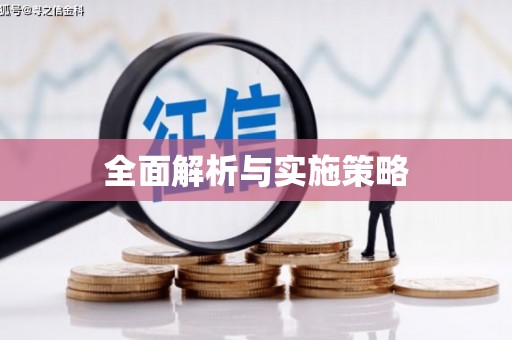 巴楚全面解析与实施策略
