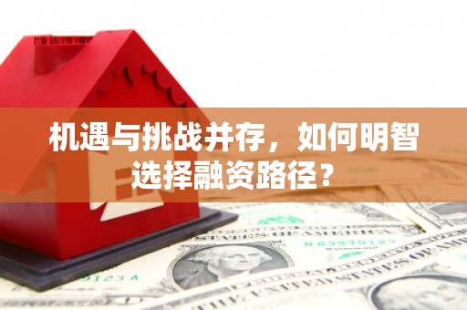 巴楚机遇与挑战并存，如何明智选择融资路径？
