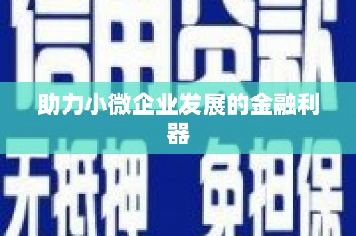 巴楚助力小微企业发展的金融利器