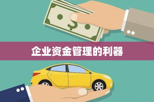巴楚企业资金管理的利器