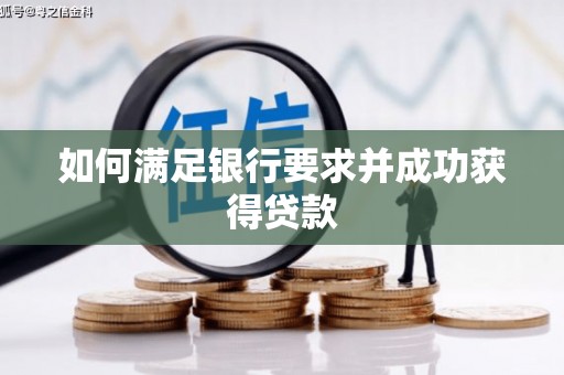 巴楚如何满足银行要求并成功获得贷款
