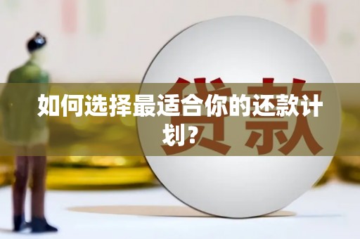 巴楚如何选择最适合你的还款计划？